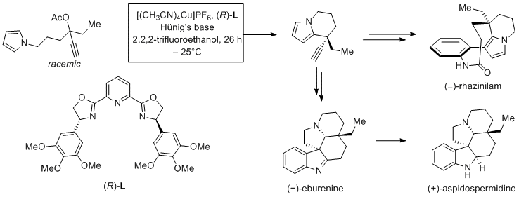 Total Synthesis of (−)-Rhazinilam and Formal Synthesis of (+)-Eburenine and (+)-Aspidospermidine: Asymmetric Cu-Catalyzed Propargylic Substitution  A. Shemet, E.M. Carreira