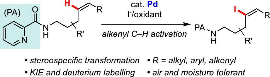 Palladium-Catalyzed Regioselective C−H Iodination of Unactivated Alkenes